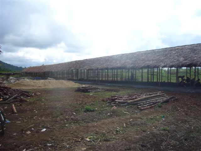 ampassindava va avanti 007.jpg (56735 byte)